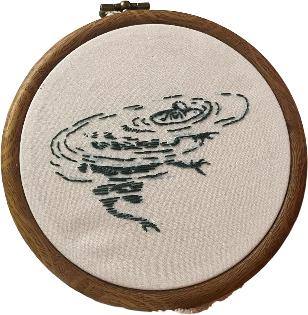 Embroidery frog